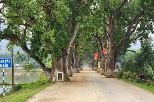 Thanh Hóa: Nhiều điểm du lịch sẵn sàng đón khách dịp Tết Nguyên đán