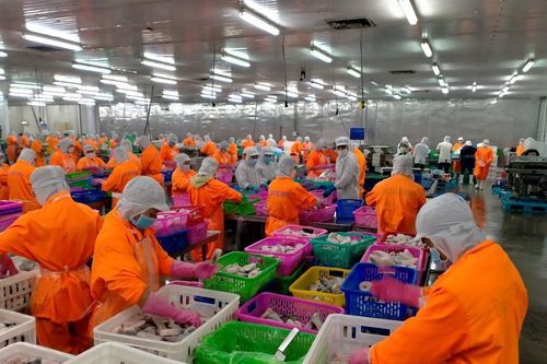 Navico ghi nhận lỗ trong quý cuối cùng năm 2023
