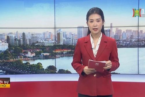 Chương trình Thời sự 9h00 | 25/01/2024