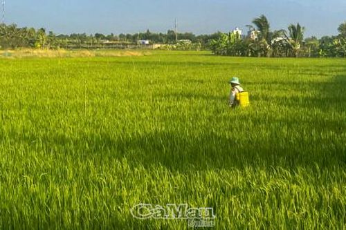 Tích hợp đa giá trị, tăng hàm lượng khoa học