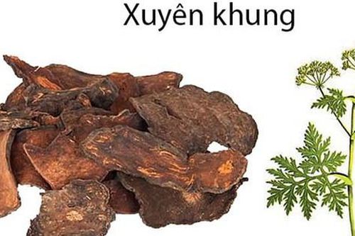 Bài thuốc trị đau đầu do thời tiết từ xuyên khung