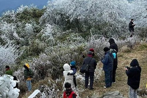 Dự báo thời tiết đêm nay và ngày mai 26/1: Du khách leo đỉnh Mẫu Sơn bất chấp trời lạnh thấu xương