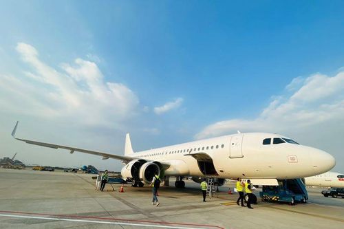 Vietnam Airlines bổ sung 4 máy bay Airbus A320 dịp cao điểm Tết