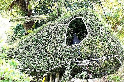 Mai chiếu thủy hình máy bay trực thăng độc, lạ