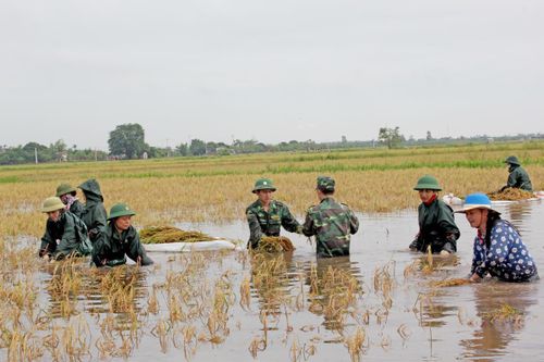 Xây dựng khu vực biên giới biển Thái Bình vững mạnh toàn diện