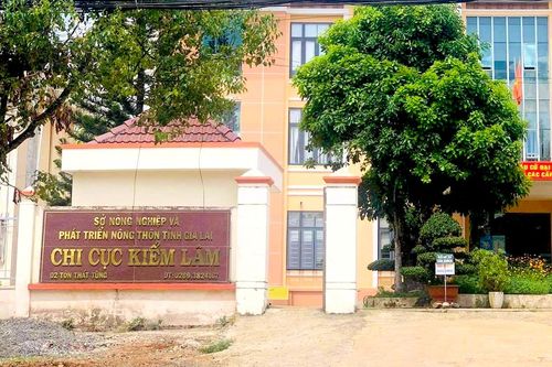 Chi cục Trưởng Chi cục Kiểm lâm tỉnh Gia Lai xin nghỉ hưu trước tuổi