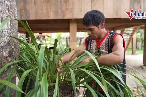 Người Xơ Đăng chung tay bảo tồn văn hóa, xây dựng làng du lịch cộng đồng