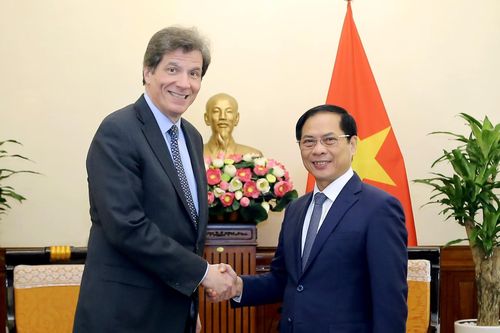 Chuẩn bị cho các chương trình trao đổi đoàn cấp cao Việt - Mỹ trong năm 2024