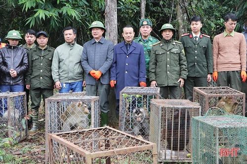Vườn Quốc gia Vũ Quang tái thả 30 cá thể động vật hoang dã về tự nhiên