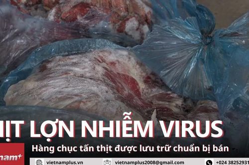 Phát hiện kho chứa hàng chục tấn thịt nhiễm virus dịch tả lợn châu Phi ở Hà Nội