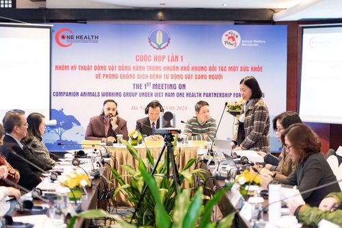 Nuôi thả chó mèo có trách nhiệm để kiểm soát dịch bệnh