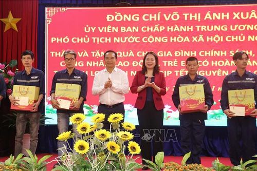 Phó Chủ tịch nước Võ Thị Ánh Xuân thăm, tặng quà Tết gia đình chính sách tại Long An