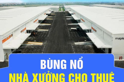 Bùng nổ nhà xưởng cho thuê