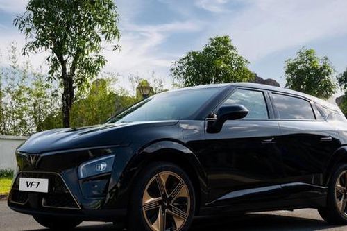Xe phiên bản rồng, chiêu hút khách dịp tết Giáp Thìn
