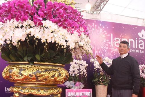 Xuất hiện chậu lan dát vàng có giá 1.7 tỷ đồng tại Bắc Giang