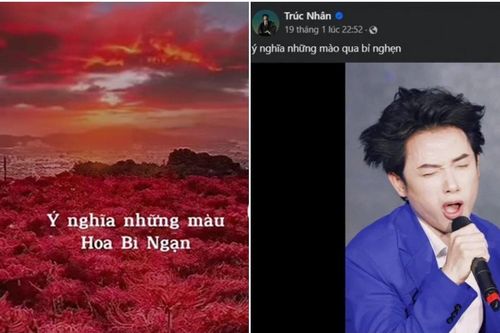 Trend 'hoa bỉ ngạn' đang hot rần rần trên mạng xã hội là gì?
