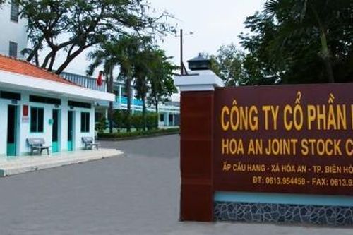 Quý 4/2024 biên lợi nhuận gộp Công ty Cổ phần Hóa An đạt 28% nhờ... đá