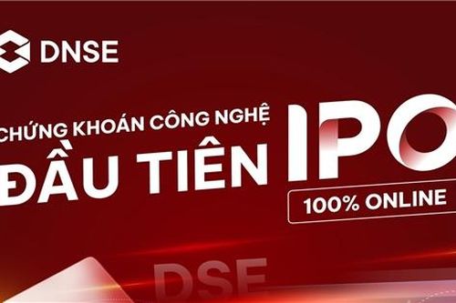 9 cá nhân mua phần lớn cổ phiếu DNSE chào bán IPO