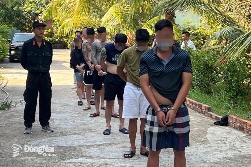 Băng nhóm lừa đảo, chiếm đất, cướp tài sản sa lưới pháp luật