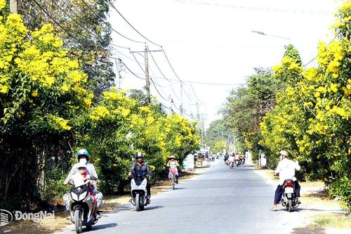 Sắc xuân ở xã nông thôn mới kiểu mẫu đầu tiên của Đồng Nai