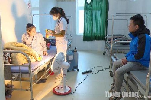 Toàn tỉnh chủ động phòng chống rét đậm, rét hại kéo dài