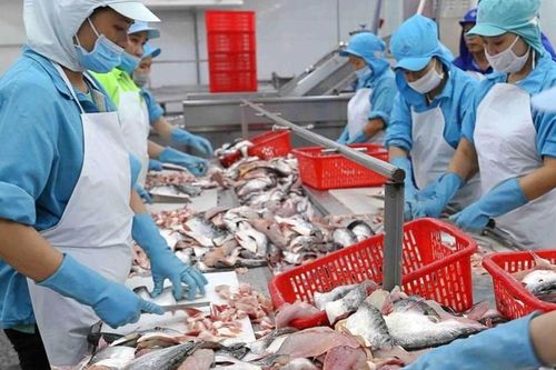 Lãi ròng Thủy sản Nam Việt (ANV) chạm đáy 7 năm, kỳ vọng đột phá trong năm 2024