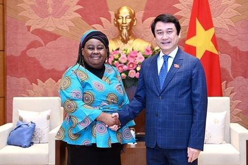 Phó Chủ nhiệm Ủy ban Đối ngoại Lê Anh Tuấn tiếp Đại sứ Nam Phi tại Việt Nam