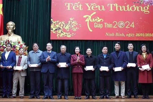Trưởng Ban Công tác đại biểu Nguyễn Thị Thanh thăm, chúc Tết tại Ninh Bình