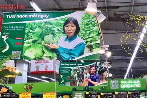 Đẩy mạnh kết nối nguồn nông sản sạch từ HTX để phục vụ Tết Nguyên đán