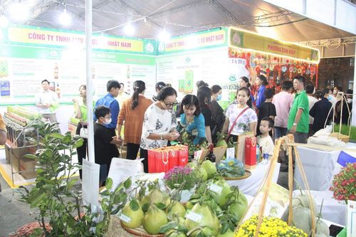Hàng nghìn người tham dự khai mạc Lễ hội 'Hương bưởi Bạch Đằng' lần III