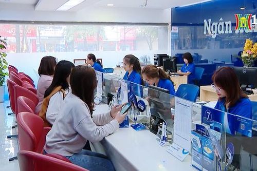 Năm 2023, lợi nhuận của Ngân hàng Bản Việt giảm 84%