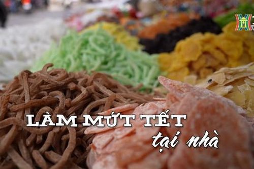 Làm mứt Tết tại nhà | Nhịp sống Hà Nội | 26/01/2024