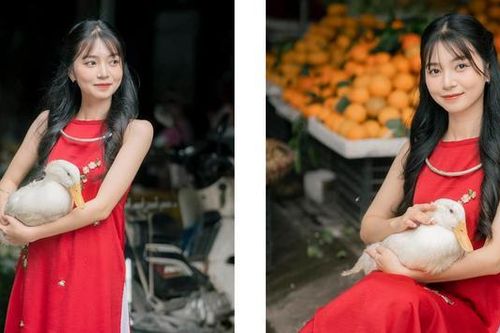 Phong trào chụp ảnh Tết cùng vịt nổi rầm rộ trên TikTok