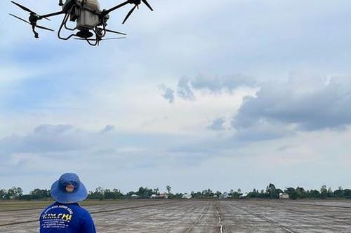 Xem nông dân trình diễn drone điệu nghệ trên cánh đồng