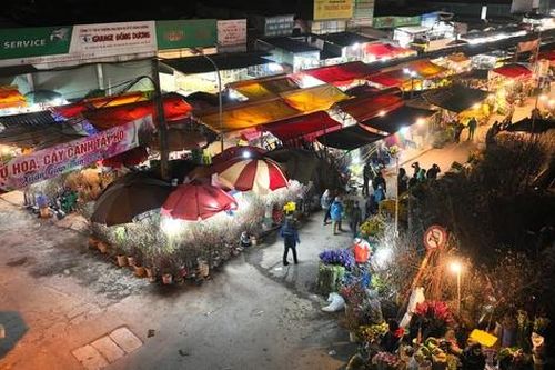 Cận Tết Nguyên đán, chợ hoa lớn nhất Hà Nội không một bóng khách, tiểu thương ế ẩm chơi dài