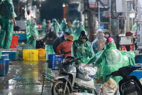 Những đôi tay trần khiêng đá, bắt cá giữa cái lạnh thấu xương ở chợ cá Yên Sở