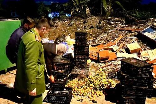 Lợi dụng đêm tối vận chuyển 6 tấn hoa quả nhập lậu