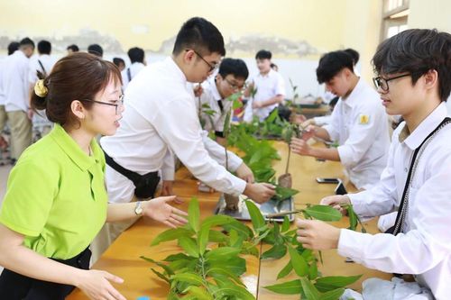 Triển khai nhiều giải pháp nâng cao chất lượng dạy và học