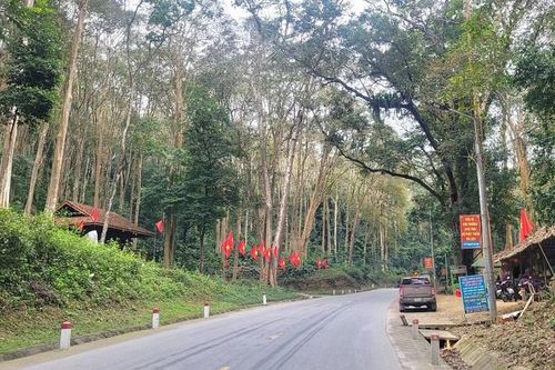 Nghệ An: Sắc Xuân miền biên viễn