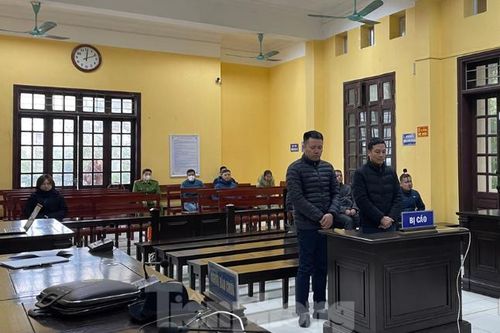 Hai giám đốc Công ty Đăng kiểm Lạng Sơn lãnh án treo