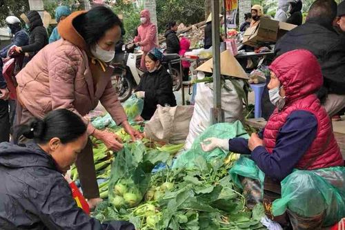Miền Bắc giá rét, mưa phùn: Người mừng - người lo