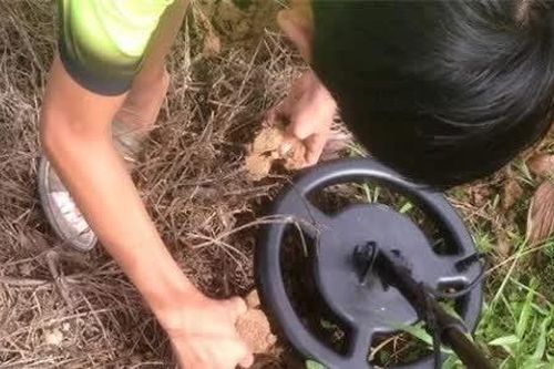 Đi tìm nhẫn cưới bị rơi, phát hiện kho báu hơn 3 tỷ