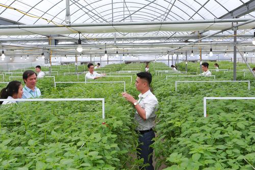 Cần xây dựng đơn vị dẫn dắt về liêm chính khoa học