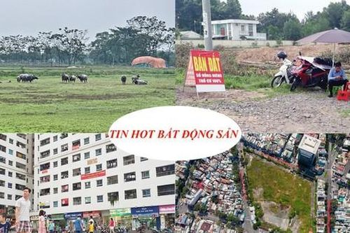 Gần 80% môi giới BĐS bỏ việc, đất nông nghiệp bị thu sẽ được bồi thường bằng nhà ở