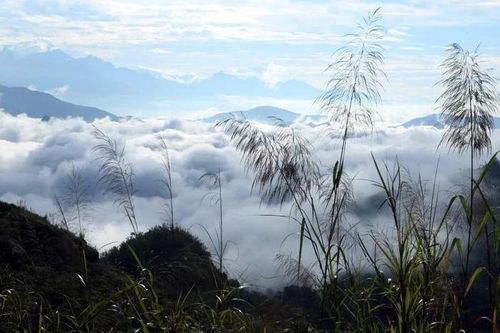 Lai Châu: Ngắm nhìn biển mây vô tận từ đỉnh Lao Tỷ Phùng
