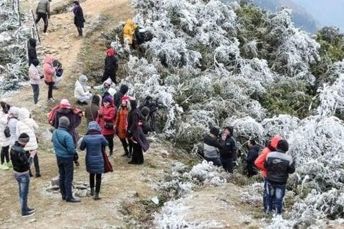 Bất chấp lạnh giá để 'săn tuyết': Bác sĩ khuyến cáo gì?
