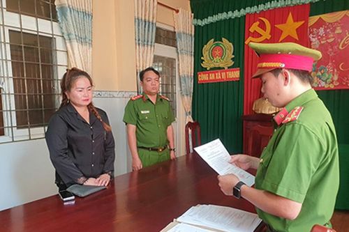 Đối tượng quốc tịch nước ngoài lừa đảo chiếm đoạt hơn 10,5 tỉ đồng