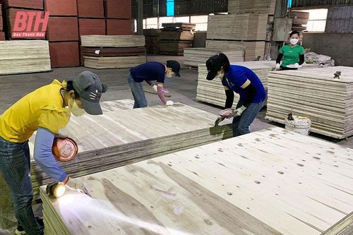Thu hút các doanh nghiệp chế biến lâm sản
