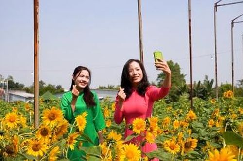Rực rỡ sắc hoa Xuân