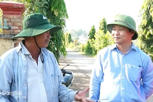 Lãnh đạo huyện Thống Nhất khảo sát thực tế tại các hộ trồng hoa tết